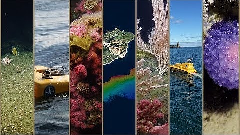 Expedition in 60 Seconds: Channel Islands | Nautilus Live