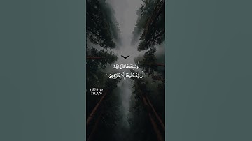 سورة البقرة الآية 114 الشيخ أحمد العجمي #اكسبلور #lovesong #دويتو #المصحف #love #duet #quran #لايك