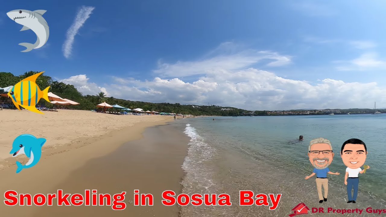 Snorkeling Sosua Bay May 2022