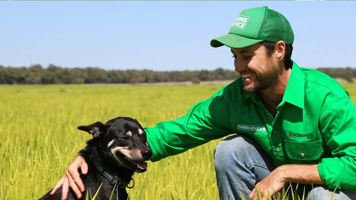 Farm Yarns with Stuart Wesley - Farms Advice Agrib...
