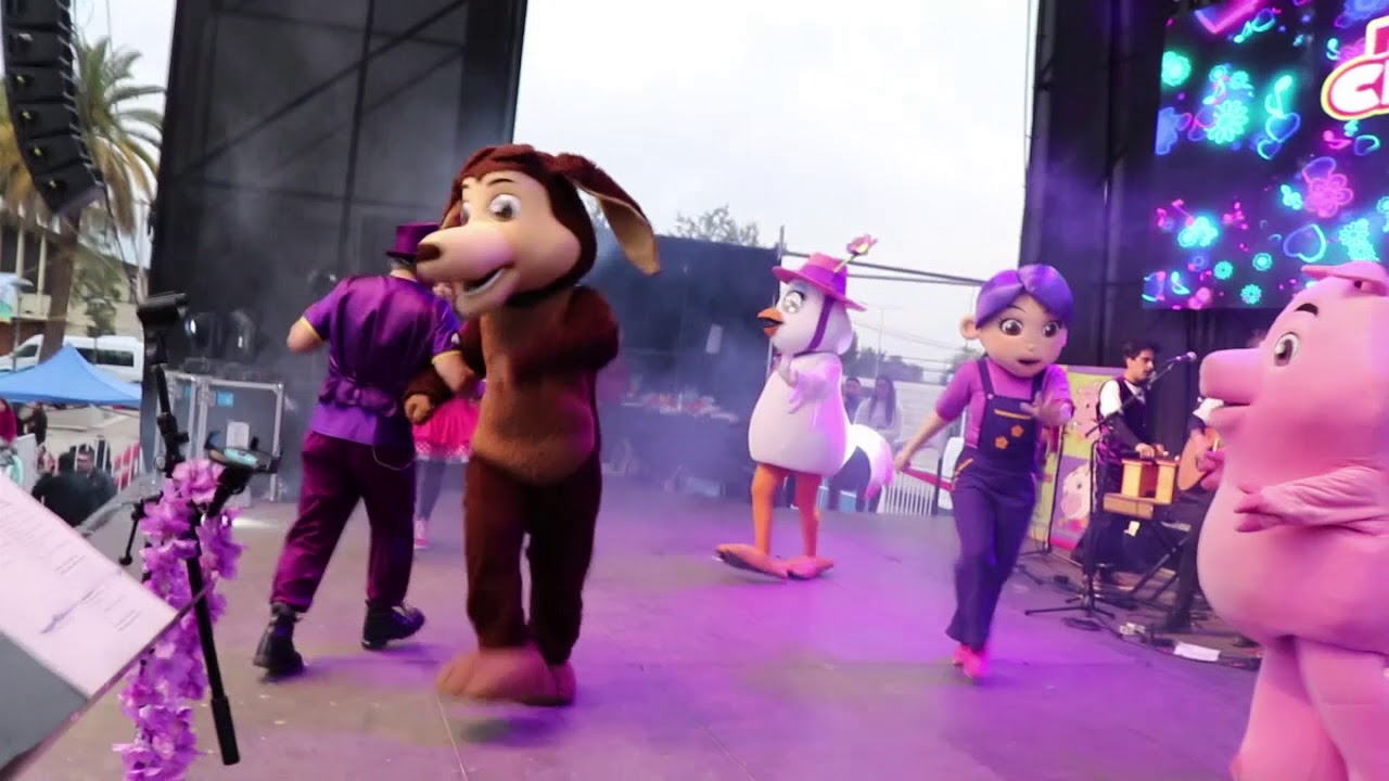 Cocholo Perro Chocolo en Recital - YouTube