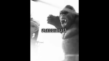 Kong 2017 VS Godzilla 1954