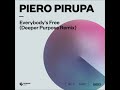 Piero pirupa  everybodys free to feel good deeper purpose extended remix spinnin deep