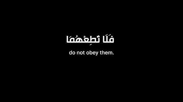 (ووصينا الإنسان بوالديه حسنا..) كروما قرآن - شاشة سوداء - عبدالرحمن مسعد - سورة العنكبوت