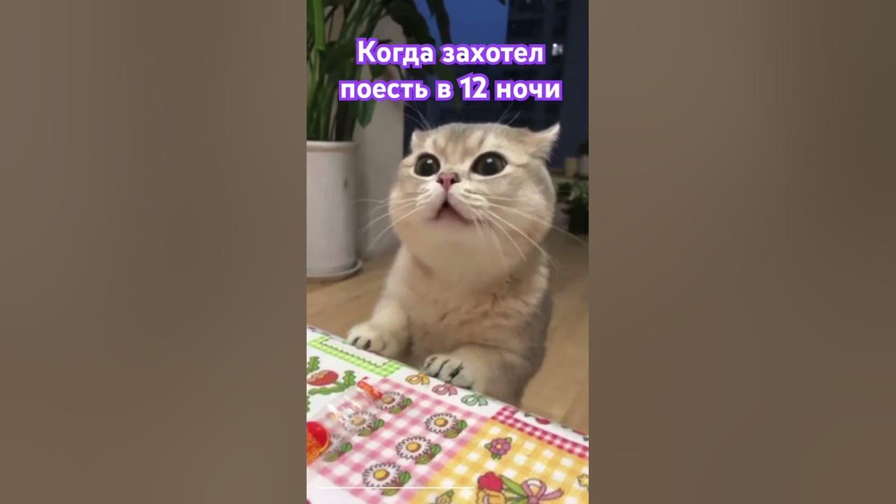Когда решил поесть в 00:00 - YouTube