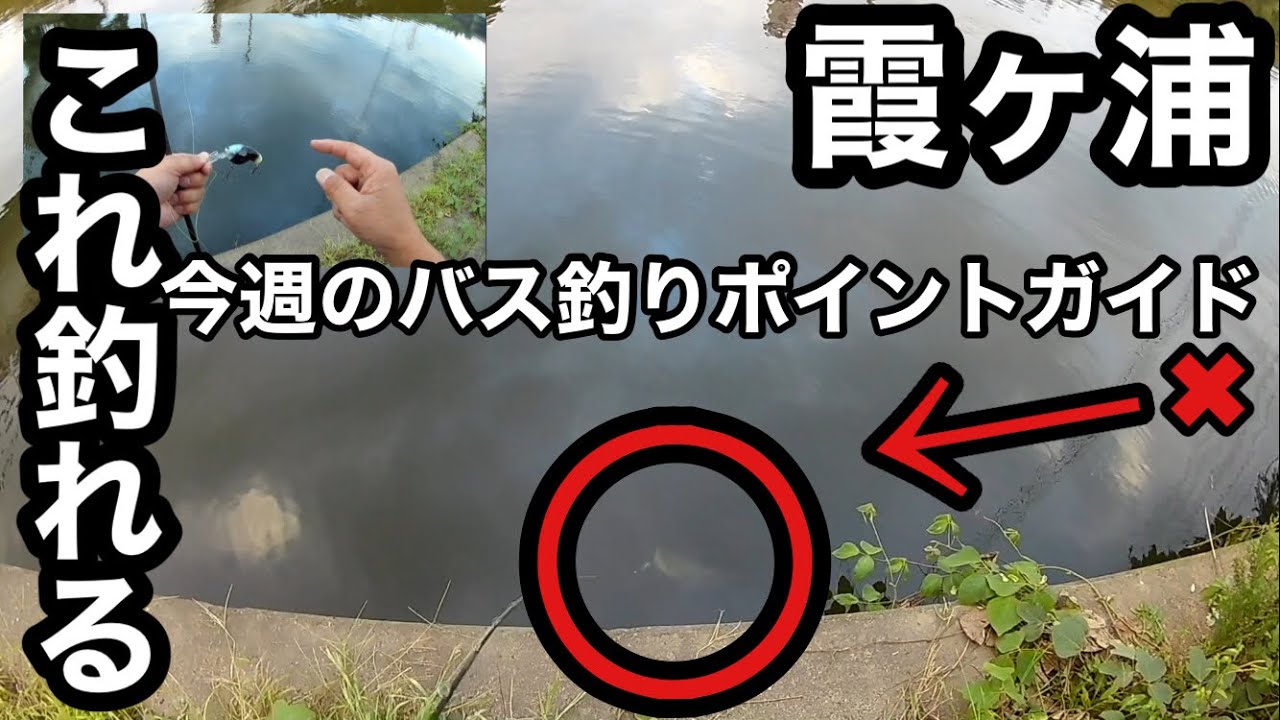 If you wind the crankbait on this course, here it is - YouTube