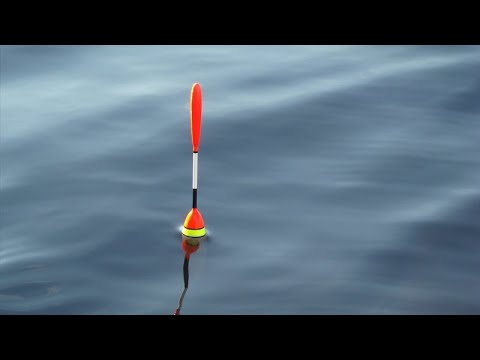 Float Fishing Bites Compilation.