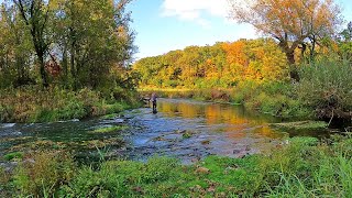 Nymphing up Wild Browns in Stained Water - Fly Fishing the Driftless (Day 5)