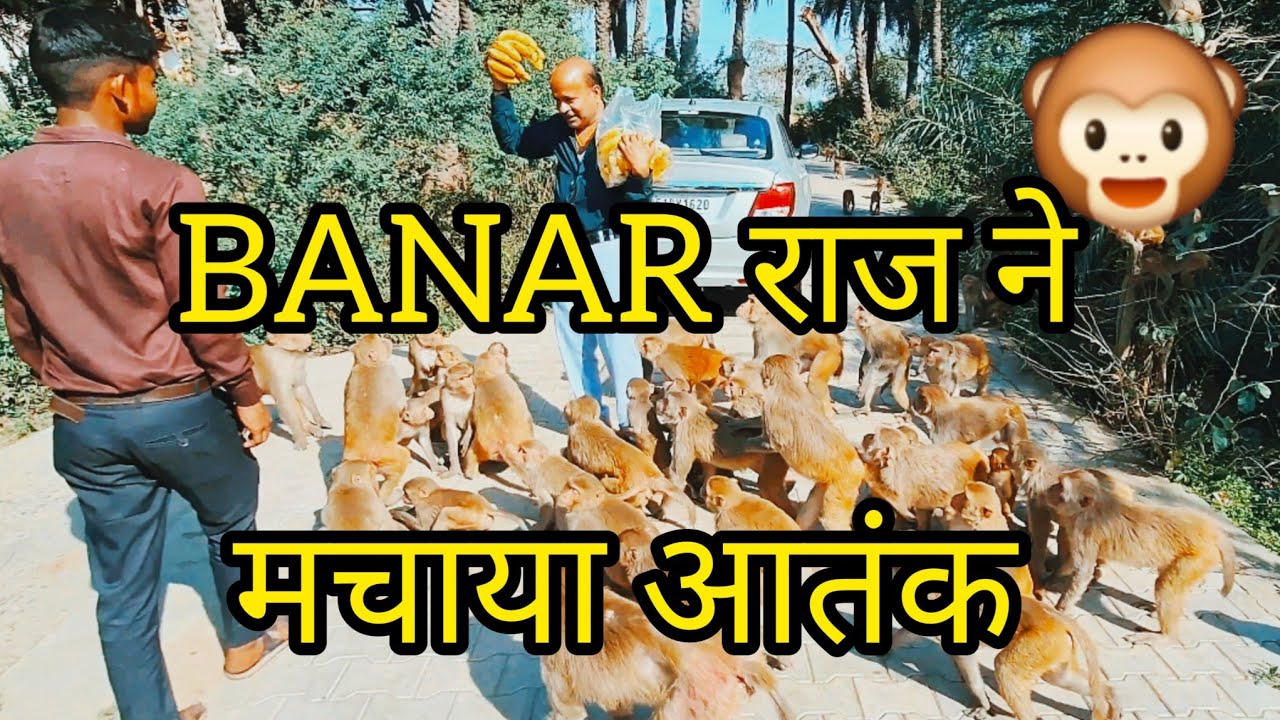 BANAR RAJ KA JABARJAST AATANK 🔥 - YouTube