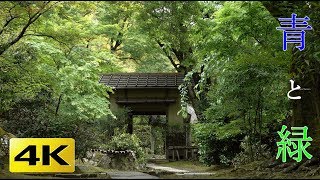 [4K] 青と緑の庭  京都の庭園 　 Blue and Green Gardens [4K] The Gardens of Kyoto Japan