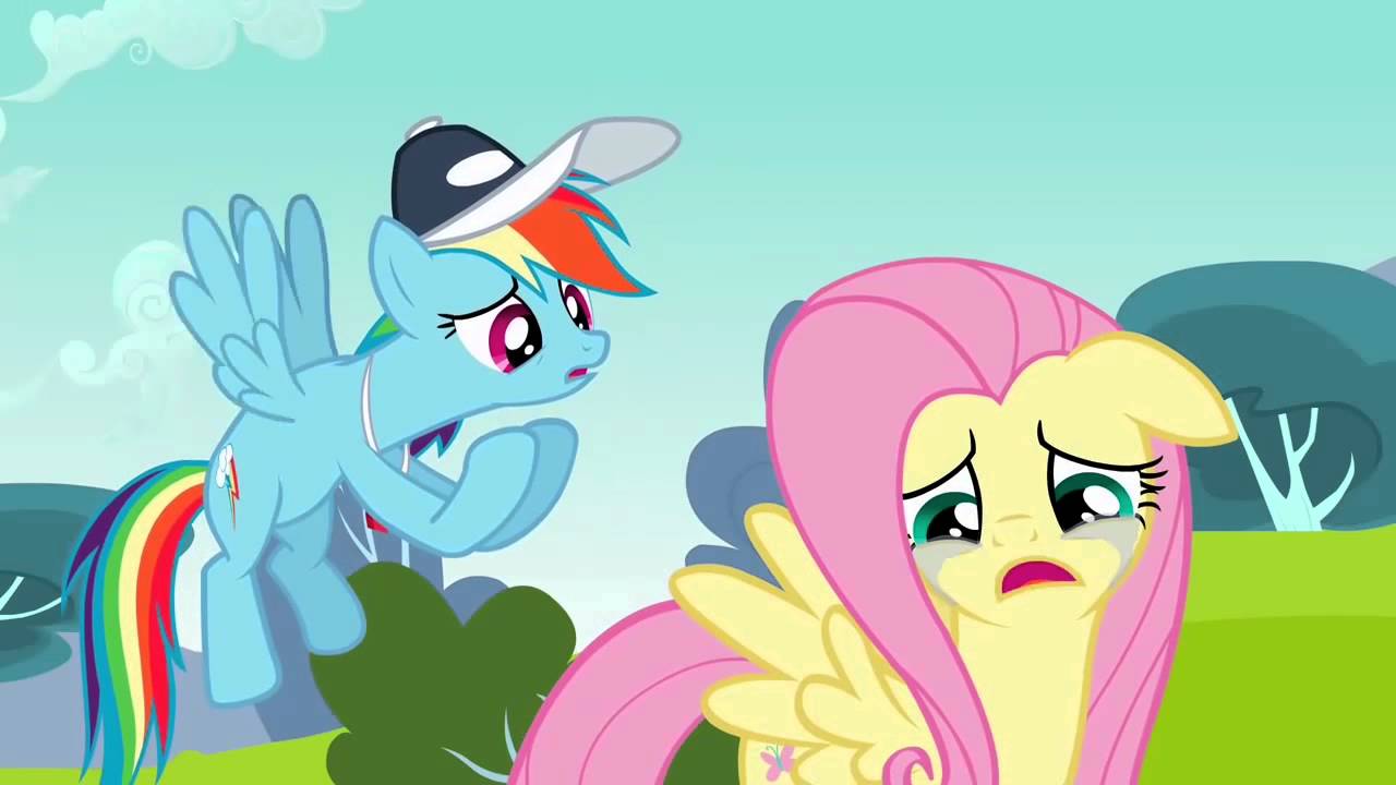 My Little Pony Fluttershy And Rainbow Dash