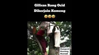 Giliran Bang Ocid Yang Dikerjain Komeng 🤣 #komeng #komedi