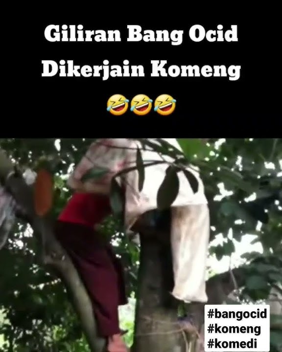 Giliran Bang Ocid Yang Dikerjain Komeng 🤣 #komeng #komedi