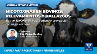MICOTOXINAS EN BOVINOS: RELEVAMIENTOS Y HALLAZGOS