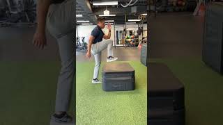 Sprinter Step Up