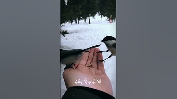 ياسر الدوسري سورة غافر الايه:(٣٩-٤٠)