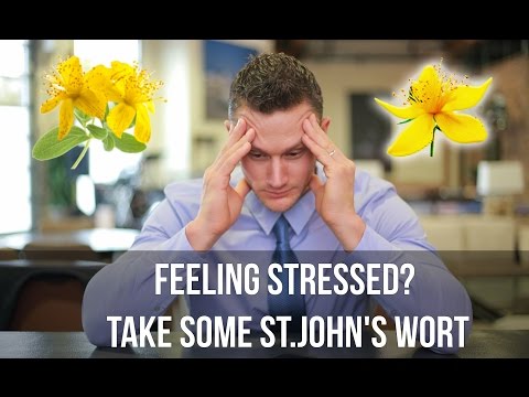 Video: St. John's Wort And Anxiety: Adakah Ia Membantu?