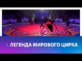 Всемирно известный цирк Филатовых приехал в Ставрополь