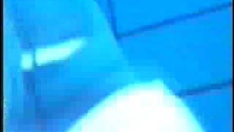 Mouse on Mars - Distroia