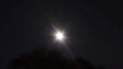 Full Moon Rises from Behind a Huge Tree Timelapse 1080p