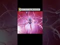 World’s First Living Biocomputer😲: Human Brain Cells on Silicon Chips (Cortical Labs CL1)#Short
