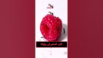 زوج الأم الذي يتحرش بابنتها المراهقة 