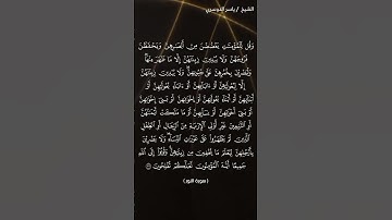 سورة النور الآيات 30ـ31 القارئ ياسر الدوسري