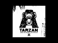 Armin van Buuren & Blasterjaxx Tarzan (Extended Mix)