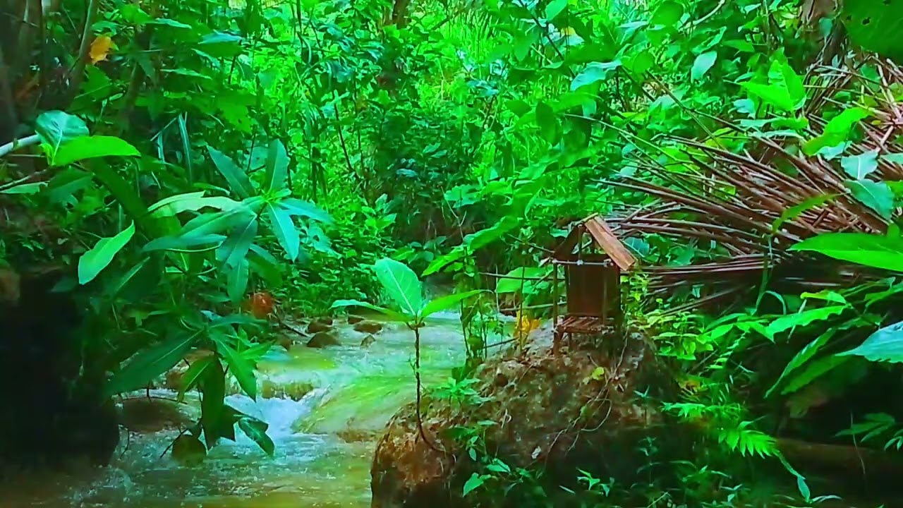 A calming flow tranquility of life