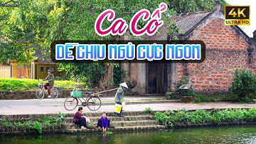 Ca Vọng Cổ Miền Tây Hơi Dài Nghe Dễ Chịu Thư Giãn - Ca Cổ Cải Lương Hơi Dài Ru Ngủ🌾Tân Cổ Dân Ca