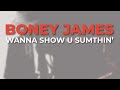 Capture de la vidéo Boney James  Wanna Show U Sumthin' (Official Audio)