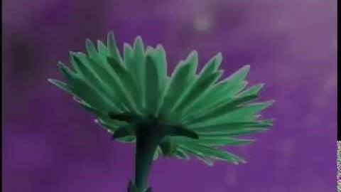 STRUCTURE :  CLIP - VID - EFX1 - MIX1 - OUT between two STRUCTURES