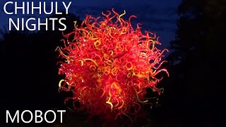 We Saw Amazing Glass Sculptures At Chihuly Nights In The Missouri Botanlcal Garden!