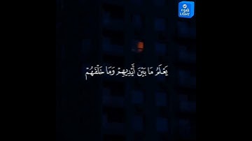 قرآن كريم #اكسبلور #المصحف #دويتو #القزابري #duet #تيك_توك #الرحمن #العظماء #لايك