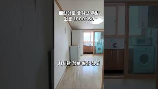 [서울대입구역원룸] 베란다에 주방. 햇빛 밝은 남향 #원룸 #분리형원룸