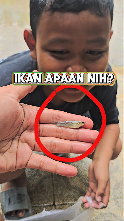 BOCIL MANCING DAPAT IKAN ANEH😅