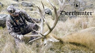 Hunting Giant Red Stags in Argentina