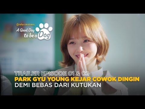 A Good Day To Be A Dog | Trailer Episode 1 & 2 | Cha Eun Woo, Park Gyu Young, Lee Hyun Woo