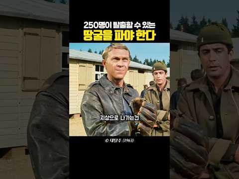 250명이 탈출하는 치밀한 계획