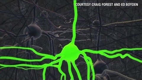 The minds behind the Brain Activity Map