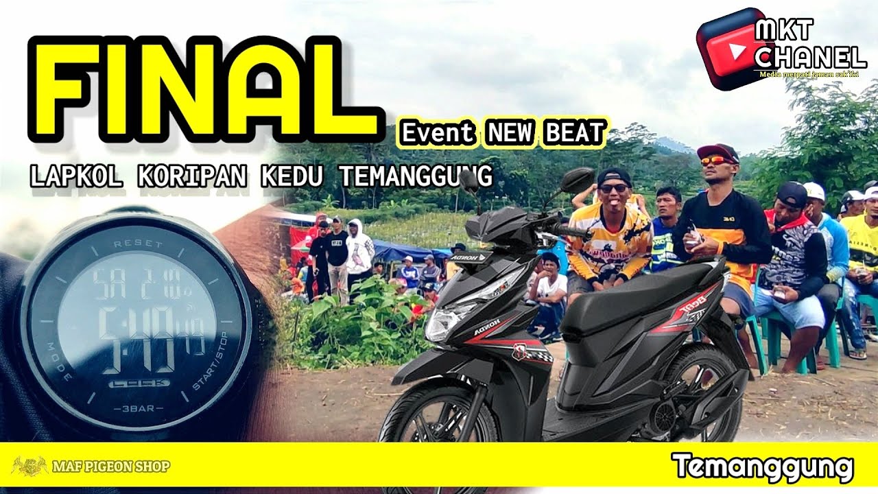 🔴BEDUG MAGRIB MASIH TERBANG‼️EVENT NEW BEAT LAPKOL KORIPAN KEDU | TEMANGGUNG