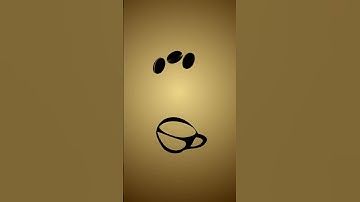 Logo Animation foe Coffee shop