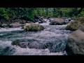 You will fall asleep in minutes to these gentle river sounds, peaceful sleep experience Everyday Use