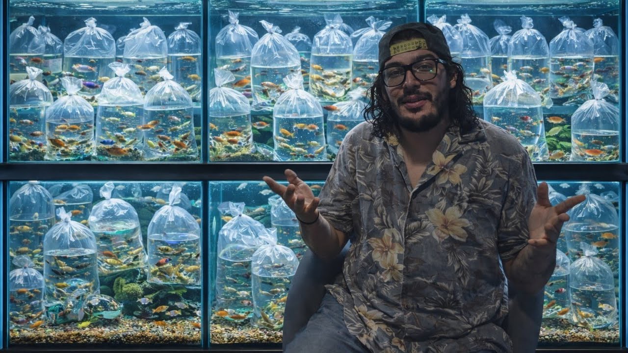 QUAL MELHOR FORMA DE ACLIMATAÇÃO?