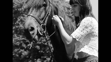 A2 Media Preliminary Task - Music Video