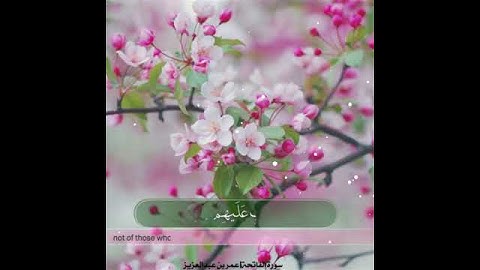 سورة الفاتحة - عمر بن عبدالعزيز / حالات واتس اب إسلامية