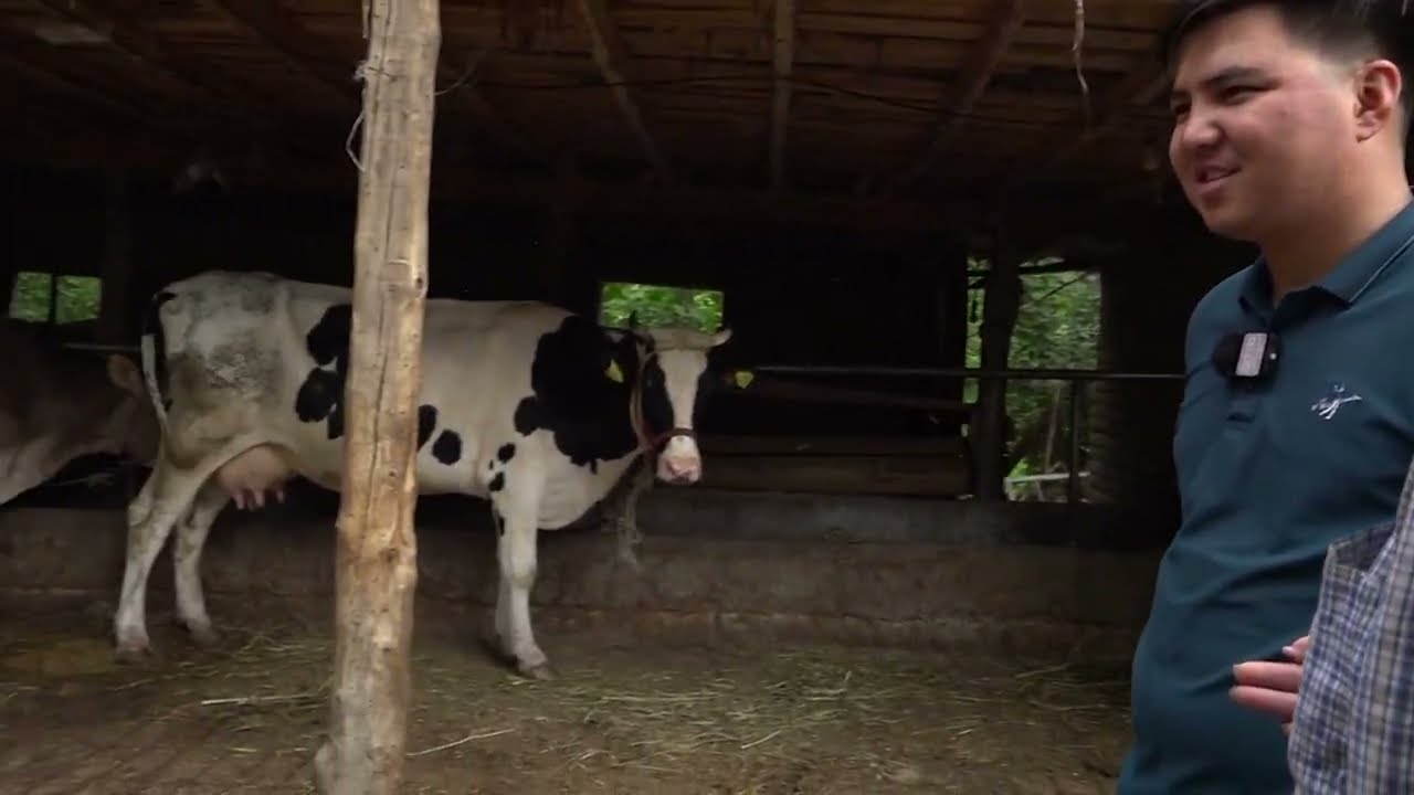 Оргуштаган Озгур айылы...