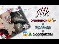 💥😱Цвет-сюрприз для новогодних шедевров 😱💥 Новогодний дизайн🎄⛄ ручная роспись🎨 Олененок😍🦌