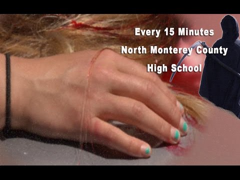 North Monterey County High School - Every 15 Minutes 2015