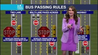 Driving rules when around a school bus